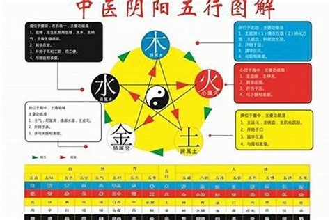 珵五行|琤字的五行属性